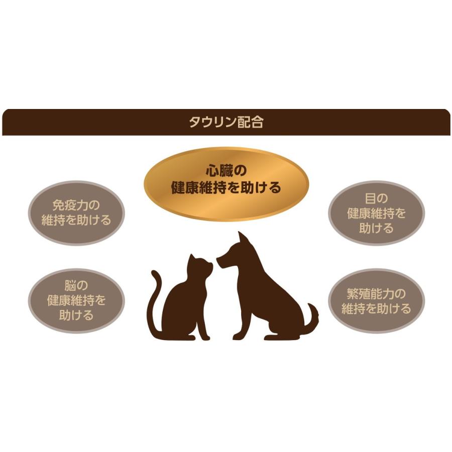 セレクトバランス グレインフリー アダルト サーモン 小粒 6kg １才以上の成犬用 オリジナルおしぼり付きの画像