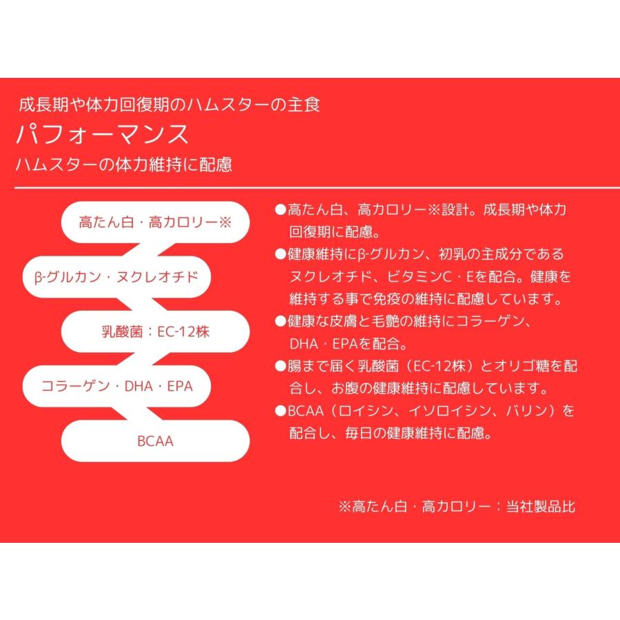 SELECTION PRO. イースター ハムスターセレクションプロ