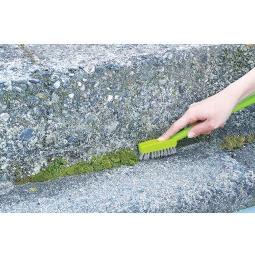 アズマ工業コケ取りブラシ ステンレス コンクリートブロック等についたコケに ブラシ幅 7cm ヘッド幅 2cm グリーン Ba725 20201012225551 00014 清水オンラインショップyahoo 店 通販 Yahoo ショッピング