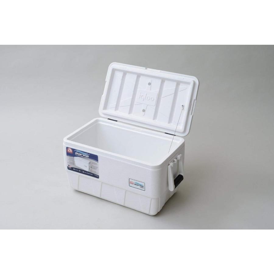 Igloo Marine Ultra Cooler 36-quart 