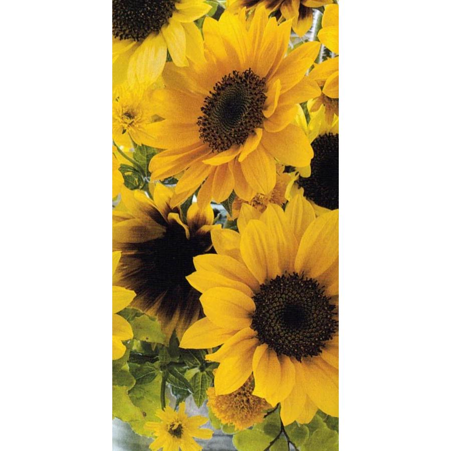 ヒマワリ☆ ひまわり・F1サマーサンリッチ パイン45| 種・苗・ガーデニング