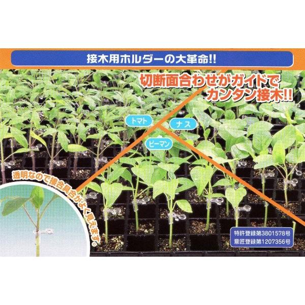 見事な創造力 生産資材 接木用資材 ジョインホルダー ナス トマト ピーマン用 2 4 F2 4 3 0mm対応 ケ Rmladv Com Br