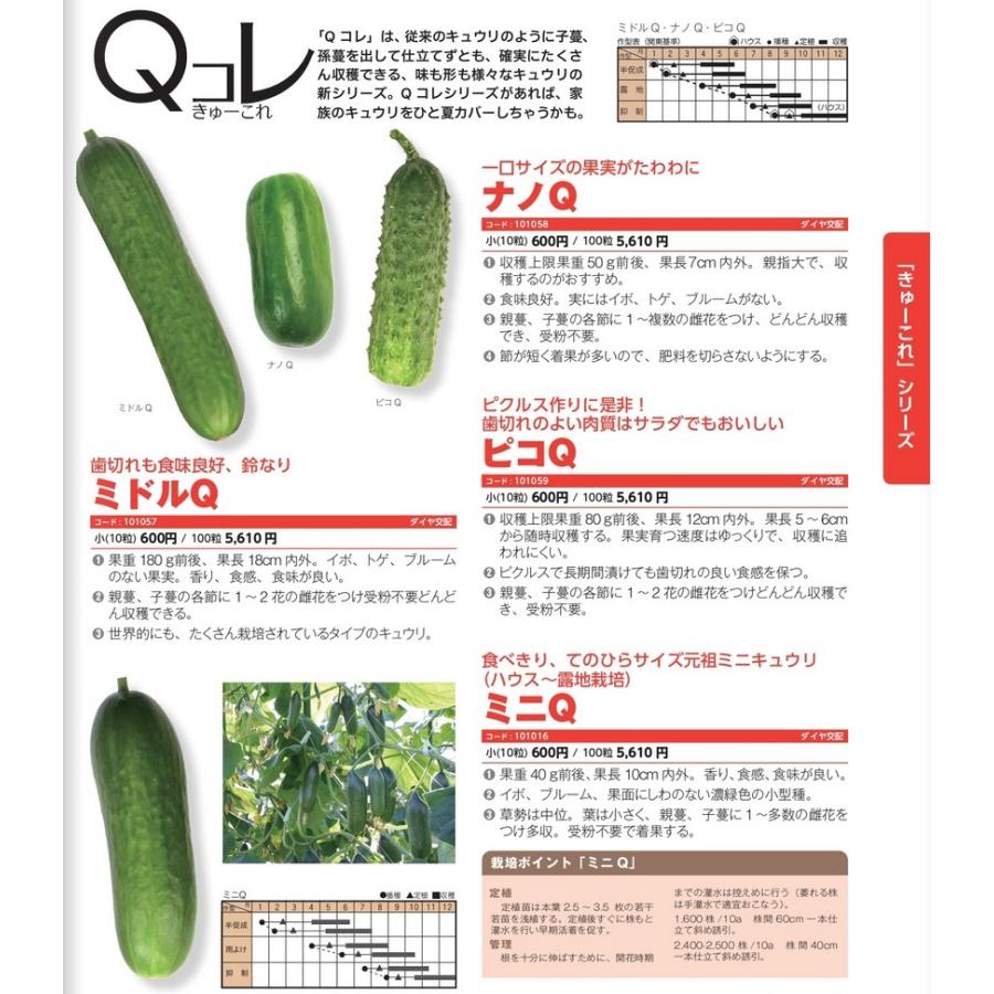 最大68 オフ ミニキュウリ種子 ダイヤ交配 トキタ種苗 Qコレ シリーズ 10粒 新タネは種子切替えの1月以降のお届けを予定