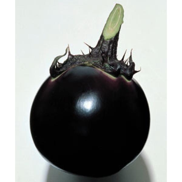 タキイ交配　　早生大丸（わせおおまる）　2000粒　★メーカー直送/代引不可　★12月以降のお届を予定