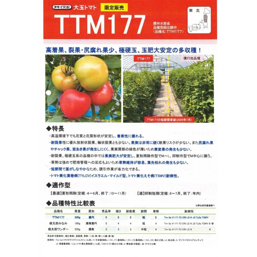トマト種子】タキイ交配 黄化葉巻病耐病性品種 TTM-177 1000粒 ☆新
