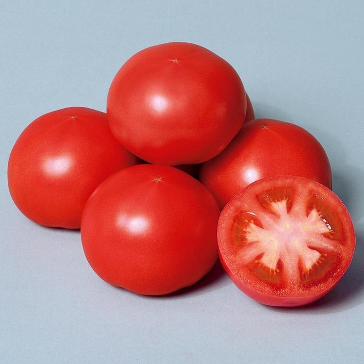 トマト種子】サカタ交配 王様トマト「れおん」100粒☆オリジナル小袋