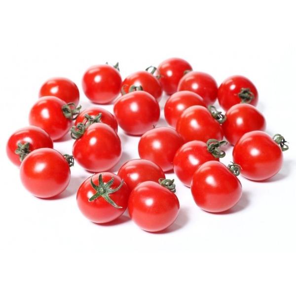 キャロルスター 年中無休 PRIMAX 50粒オリジナル小袋 ミニトマト種子 新タネのお届けは12月以降を予定 サカタ交配 超安い