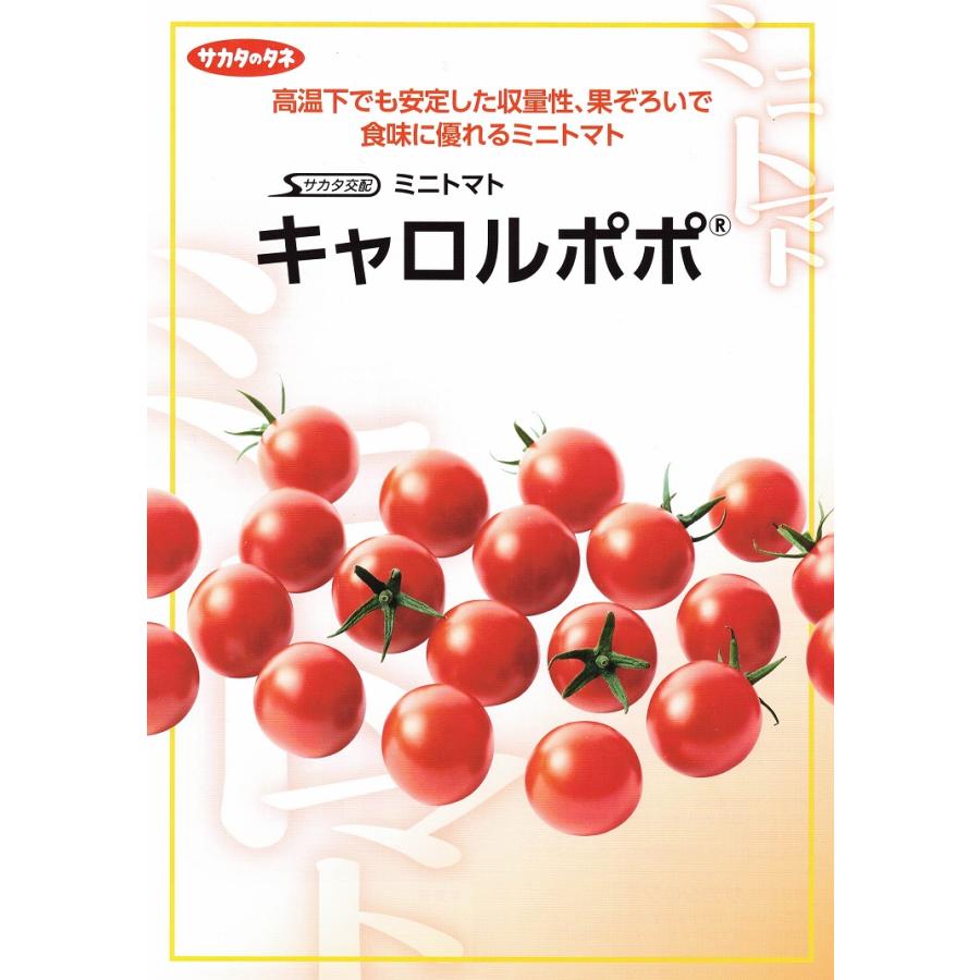 フォンティニャック☆ミニキャセロール2個セット 000000001496_Zjpz589.jpg