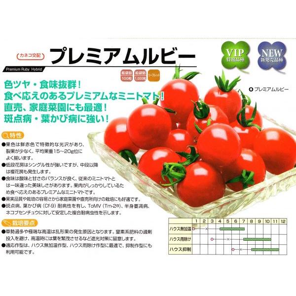 【ミニトマト種子】　カネコ交配　「プレミアムルビー」　1000粒　★お届けは12月中旬以降　★出荷用シールも新登場！     ポスト投函