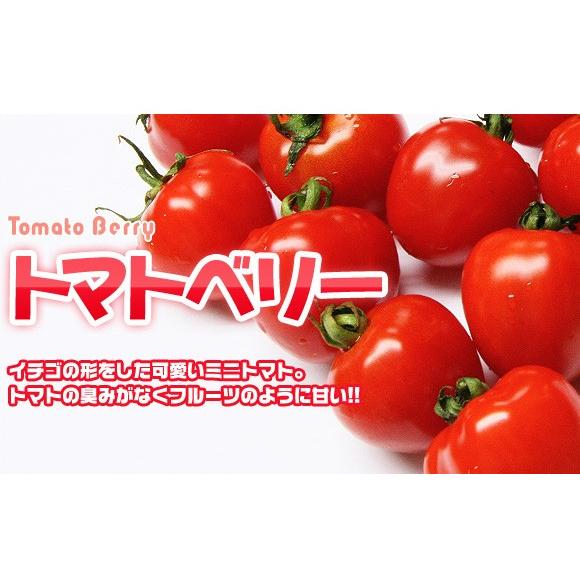 トマト様 リクエスト 2点 まとめ商品 tomato様 リクエスト 2点 まとめ商品の通販はau PAY マーケット - 輸入