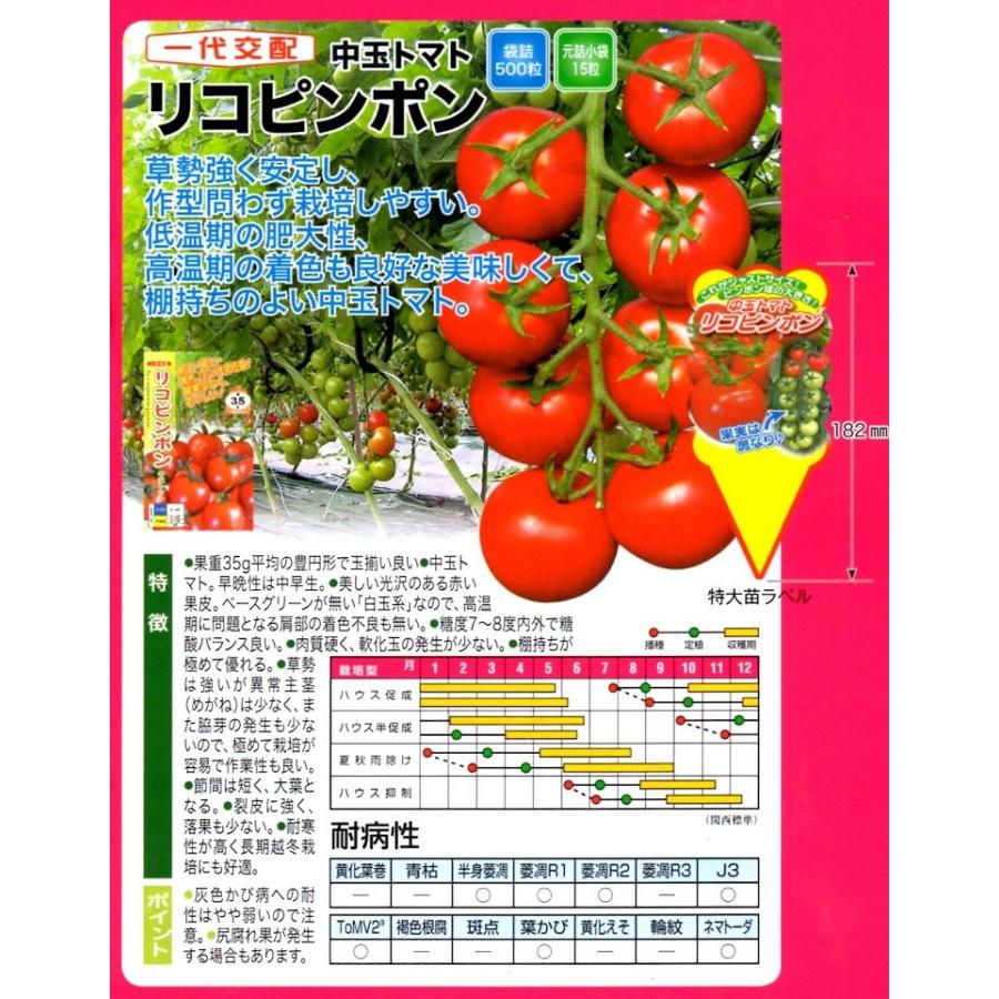 ミディトマト種子】ナント種苗 「リコピンポン」500粒 ☆メーカー直送