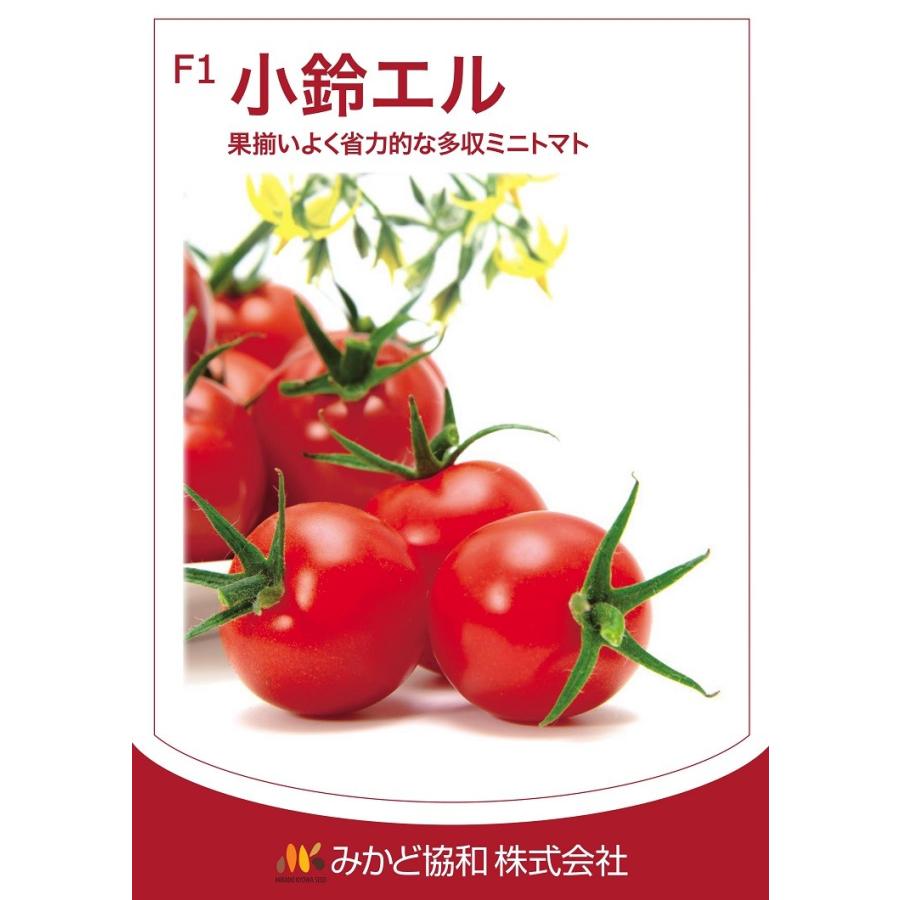 ミニトマト種子 みかど交配 小鈴エル こすずえる 1000粒 新タネは種子切替えの12月以降のお届けを予定 Vs 1000 清水屋種苗園芸ヤフーショップ 通販 Yahoo ショッピング