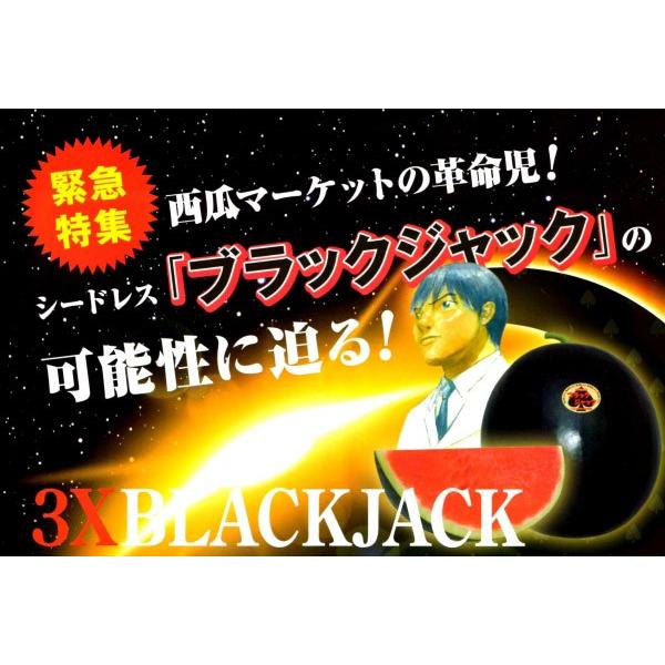 【大玉黒皮スイカ種子】ナント交配　「3Xブラックジャック」（シードレス：タネなし）ＢＬＡＣＫ　ＪＡＣＫ　100粒　★1月以降のお届けを予定