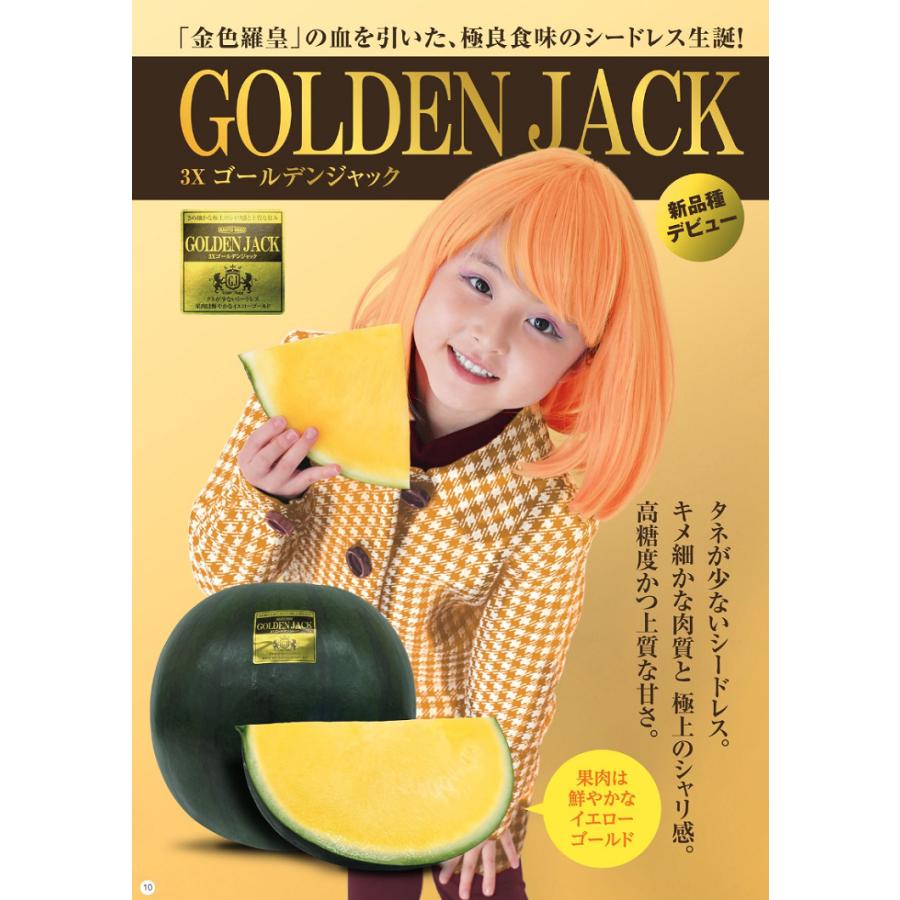 大玉スイカ種子】ナント交配「3Xゴールデンジャック」（シードレス