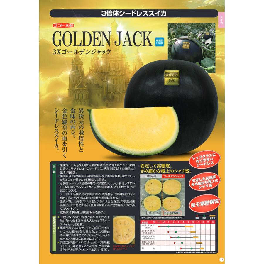 大玉スイカ種子】ナント交配「3Xゴールデンジャック」（シードレス