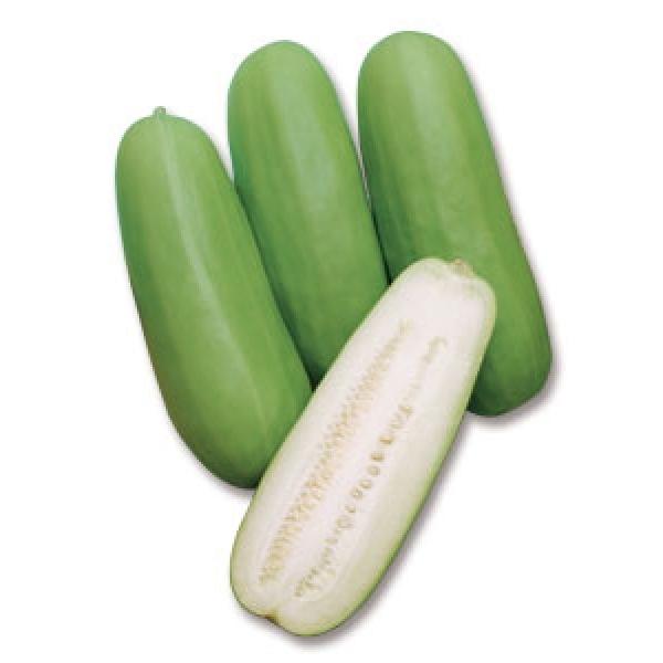 105円 価格 交渉 送料無料 白瓜 しろうり タキイ種苗 さぬき白瓜 小袋 新タネは種子切り替えの1月以降のお届を予定