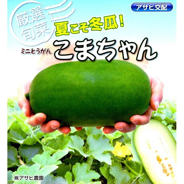 トウガン種子】アサヒ交配 ミニとうがん（冬瓜）「こまちゃん」10粒