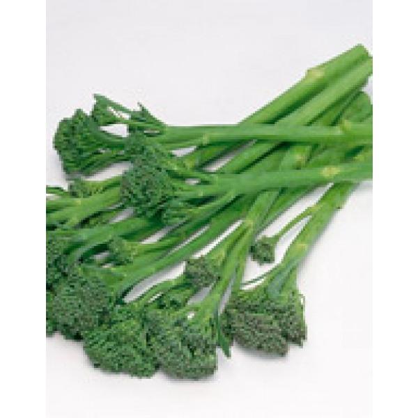 茎ブロッコリー サカタ交配 茎ブロッコリー スティックセニョール ペレット5000粒 代引不可 Aematolhoda Com