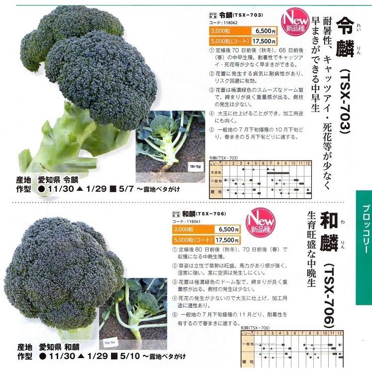 「令麟（れいりん）」「和麟（わりん）」5000粒コート 【ブロッコリー種子】ダイヤ交配（トキタ種苗）　★メーカー直送/代引不可
