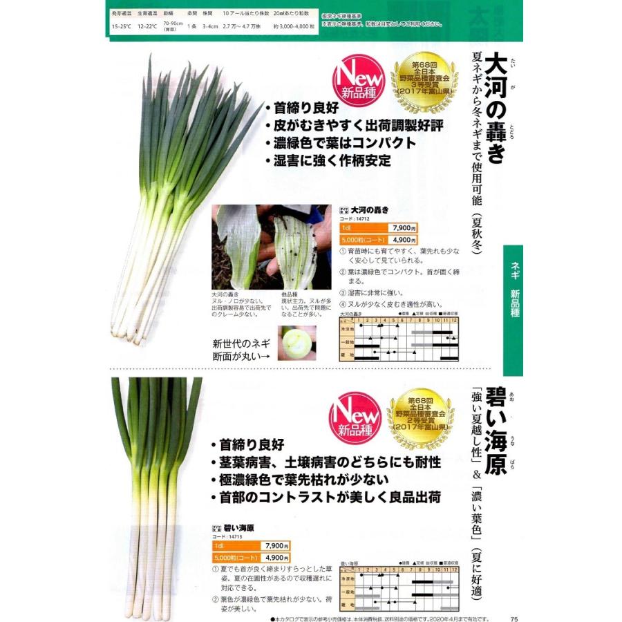 ネギ種子】ダイヤ交配（トキタ種苗）「大河の轟き（たいがのとどろき