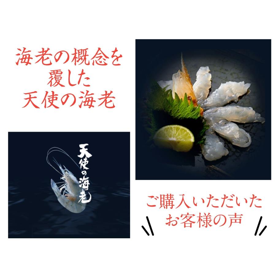 天使の海老 1kg 30〜40尾 30/40サイズ お刺身用 殻付き : 志茂長Yahoo
