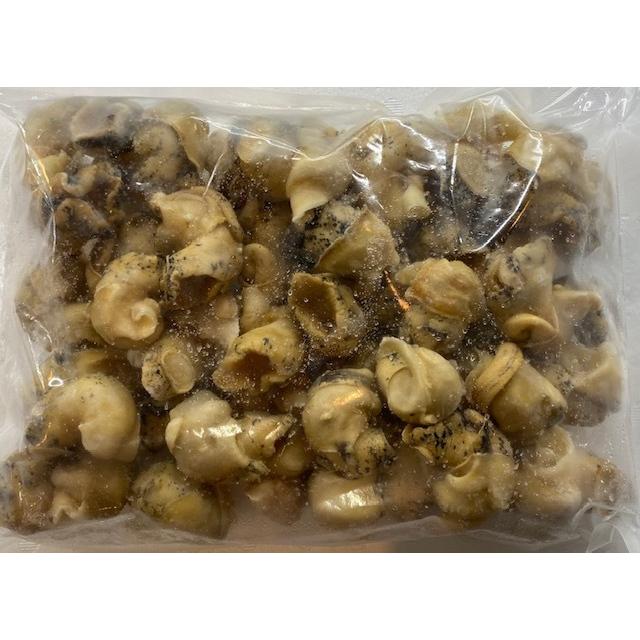 お中元 ボイルつぶ貝 剥き身 1kg Mサイズ つぶがい ツブ貝 ツブガイ 
