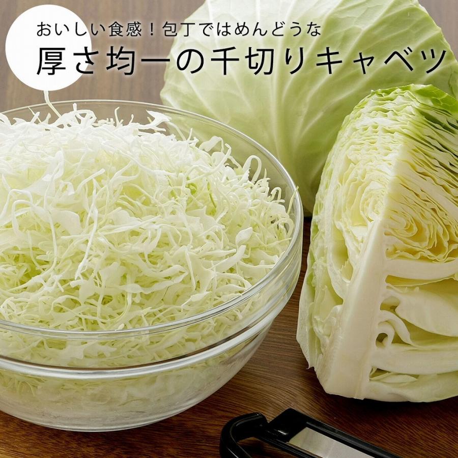 キャベツの店ページ ENJOY KITCHEN 替刃 キャベツ千切り・皮むき C-4667