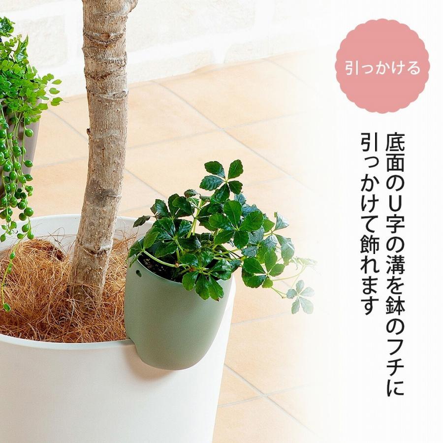 トッピングPOT オリーブグリーン 2.5寸用 日本製 ポット 鉢 植物 トッピングPOT オリーブグリーン 2.5寸用 日本製 ポット 鉢 植物