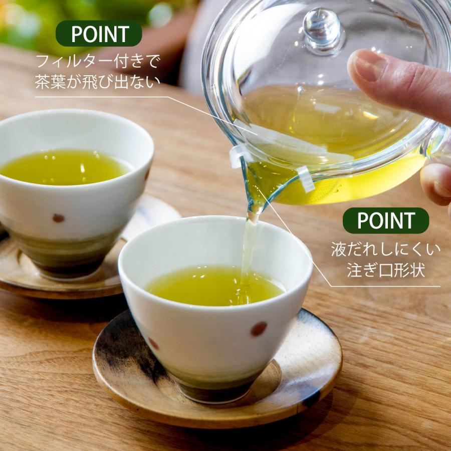 茶考具 割れにくい 急須 日本製 クリア おしゃれ ギフト 260ml 食洗機