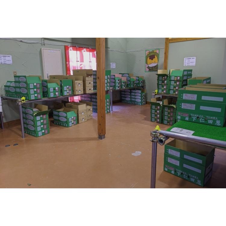 下仁田葱 3L （12本入り）1箱 下仁田町産 : 道の駅しもにたストア