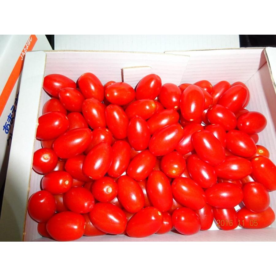 ネットワーク全体の最低価格に挑戦豊橋産 高糖度フルーツミニトマト あまえぎみクレア（赤）1ｋｇ トマト