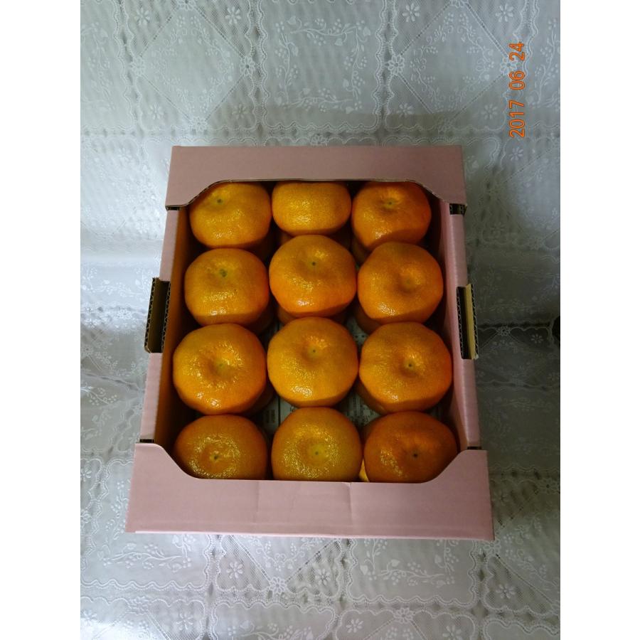 愛知県産 伊良湖ハウスみかん5ｋｇ 送料無料 但し 北海道 沖縄は受付ません お中元 お供え 手土産に 9 1 しもさわ青果販売 通販 Yahoo ショッピング