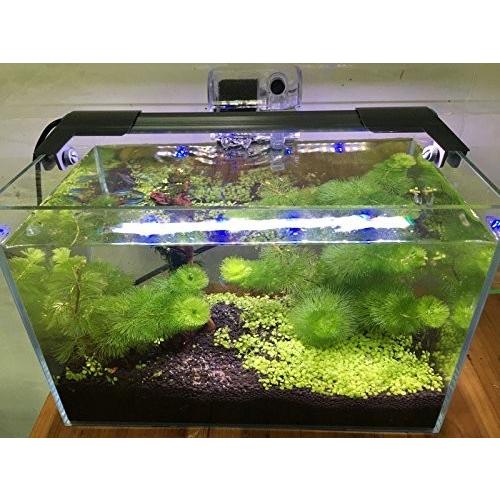 アクアリウムライト20 180cm Zeiger 水槽ledランプ 水槽対応 水槽ライト ブルー 18 20w 観賞魚 熱帯魚 水草育成 照明 12031880182 しもやな商店 通販 Yahoo ショッピング