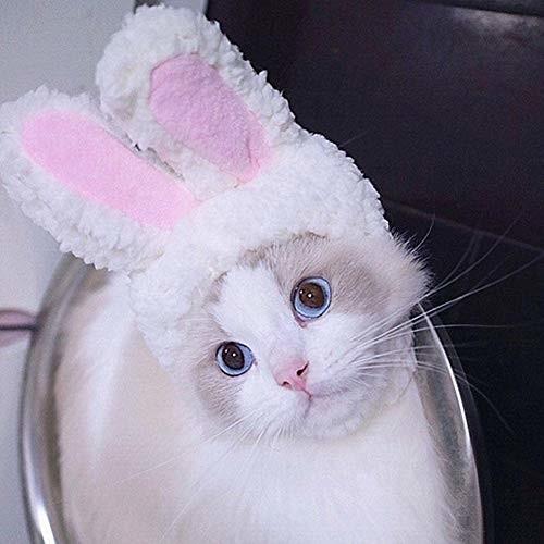 猫被り物 猫用帽子 ウサギの耳 ペット頭飾り コスプレキャップ かぶりもの おしゃれ 可愛い 犬兼用 ペット用
