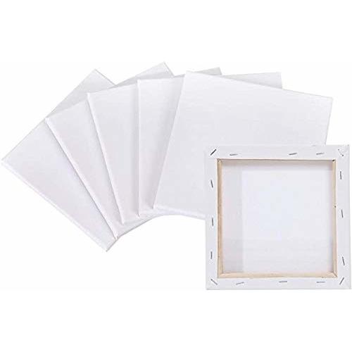 Miyabino ミニキャンバス キャンバス 画材 絵画 水彩画 油絵 30cm 30cm しもやな商店 通販 Yahoo ショッピング
