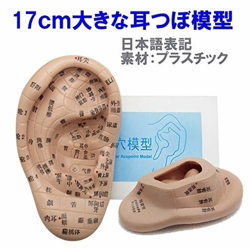 フェリモア 耳模型 耳つぼ模型 日本語表記 持ち運びに便利 わかりやすい ツボ押し 右耳 凹凸も再現 17cm しもやな商店 通販 Yahoo ショッピング