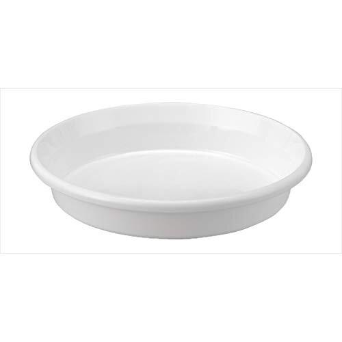 アップルウェアー 鉢皿F型 ホワイト 超特価SALE開催 6号 輸入