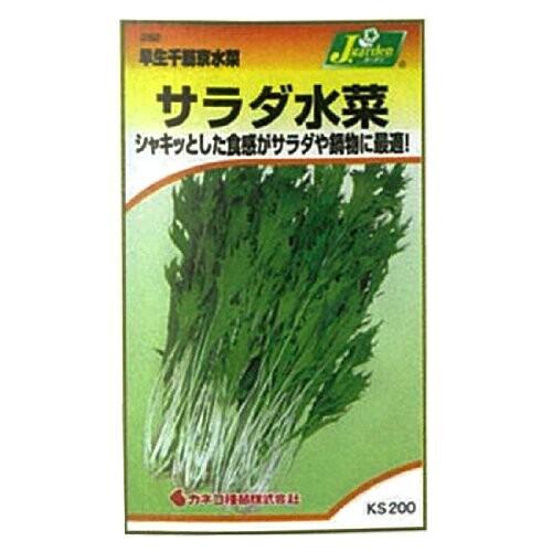 カネコ種苗 園芸 種 Ks0シリーズ サラダ水菜 野菜0 2 60 Off
