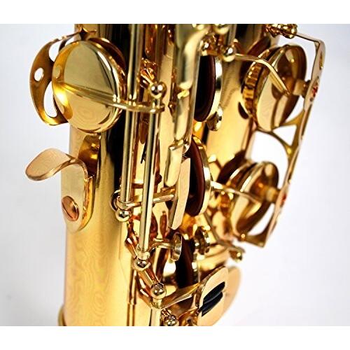 ケルントナー アルトサックス ハードケース スタンド ネックストラップ