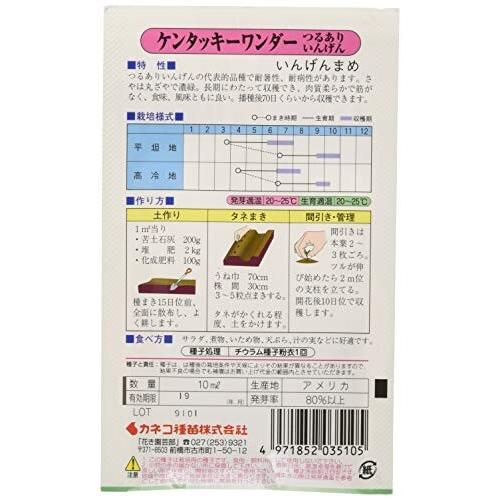 最大92 Offクーポン カネコ種苗 園芸 種 Ks100シリーズ つるありいんげん ケンタッキーワンダー 野菜100 510 Dprd Jatimprov Go Id
