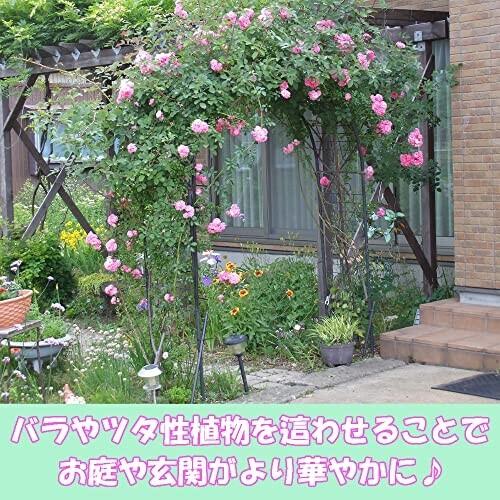 60 Off 小林金物 グリーンガーデン フラワーアーチ 間口160 奥行52 高さ210cm 日本製 No 219 ブラック Dprd Jatimprov Go Id