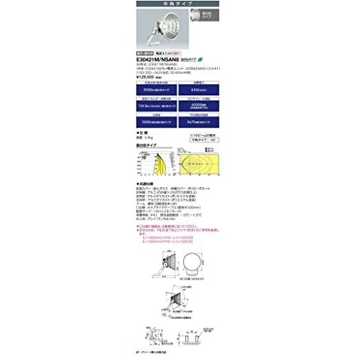 岩崎電気　レディオックフラッドスポラート　LED投光器　65W　中角タイプ　E30421M　NSAN8　昼白色