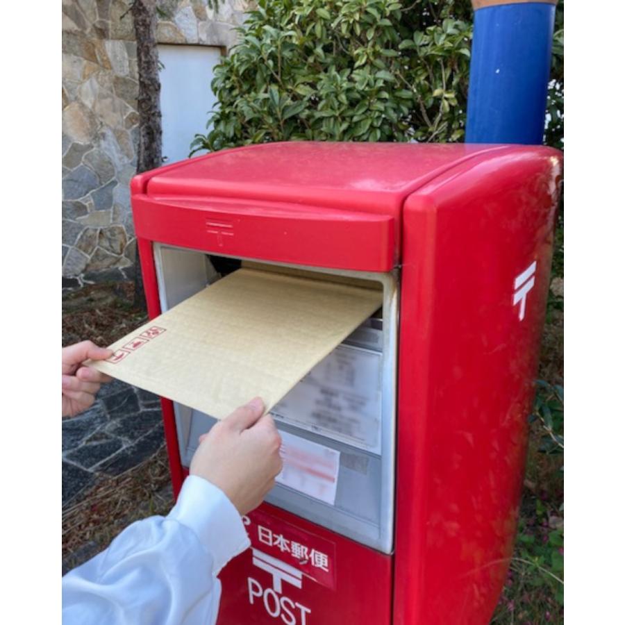 けむりの少ないお焼香 無香料 : お線香とお香の新香Yahoo!店 - 通販