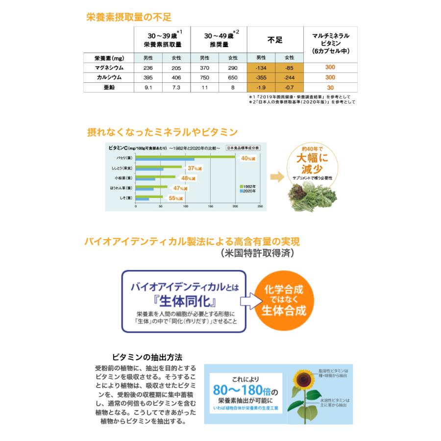 マルチミネラルビタミン 180カプセル入 ニューサイエンス : 真心堂