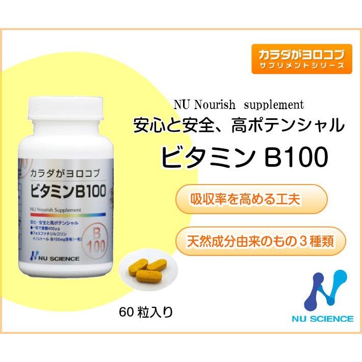 ビタミンB サプリメント 100mg 60粒 ニューサイエンス ビタミンB サプリメント カラダがヨロコブシリーズ N003真心堂ヤフー