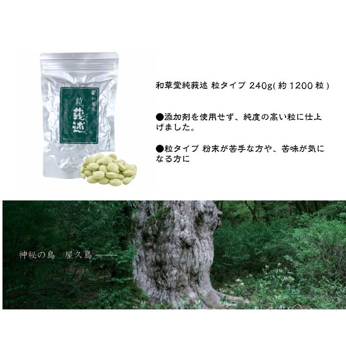 和草堂 莪述 ガジュツ 粒タイプ 240g : 真心堂ヤフーショッピング店 