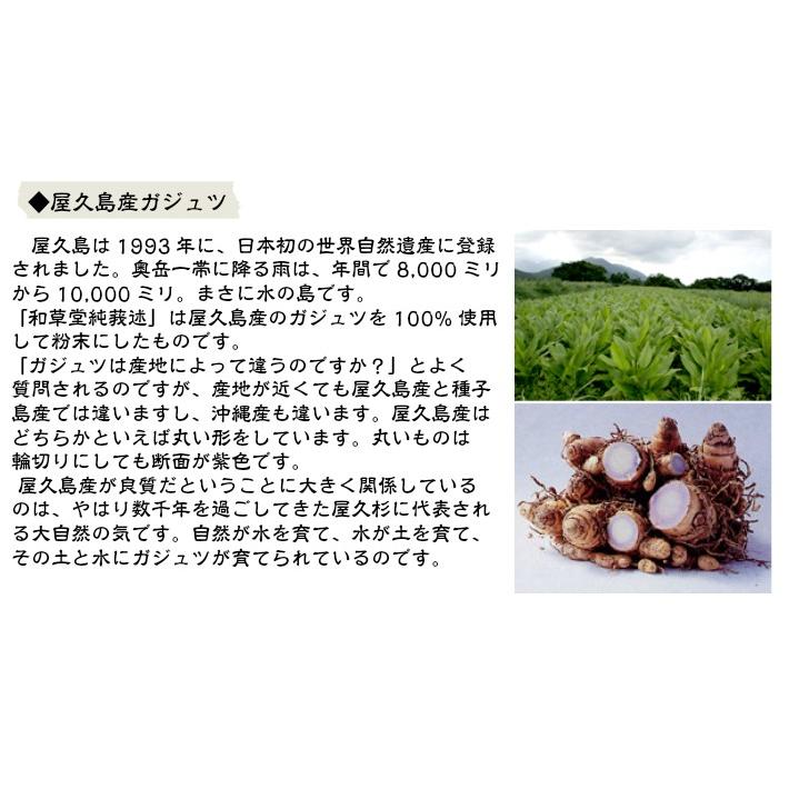 和草堂 莪述 ガジュツ 粒タイプ 240g : 真心堂ヤフーショッピング店 