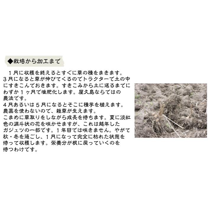 和草堂 莪述 ガジュツ 粒タイプ 240g : 真心堂ヤフーショッピング店 