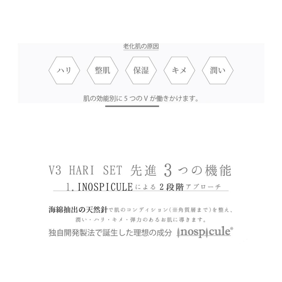 V3ハリセット V3 HARI SET スピケア イノスピキュール ホームケア 