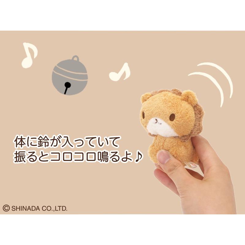 50%OFF＞シナダ chocollon Sサイズ 全種セット（3個入り） : シナダ